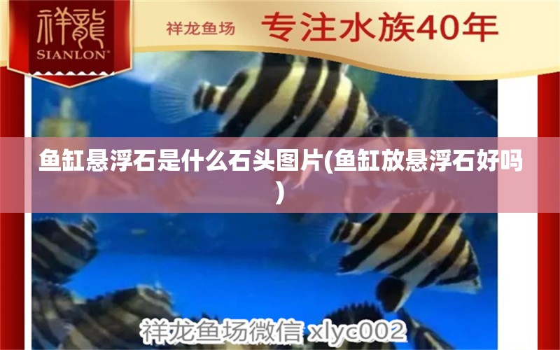 魚缸懸浮石是什么石頭圖片(魚缸放懸浮石好嗎) 祥禾Super Red紅龍魚