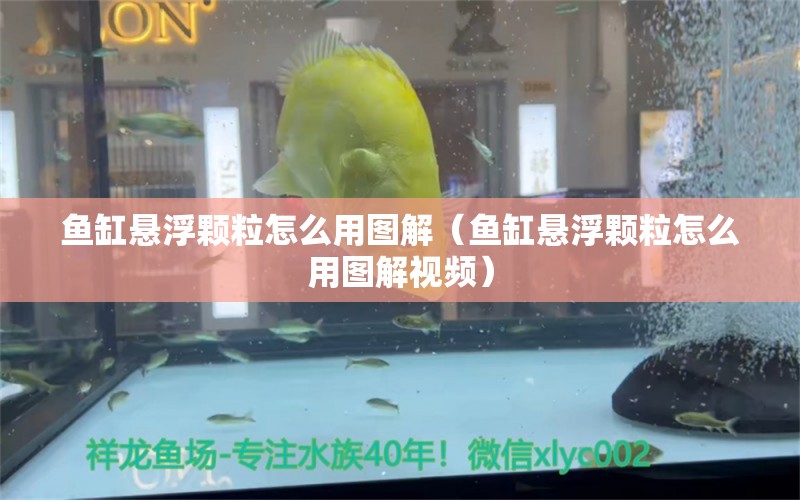 魚缸懸浮顆粒怎么用圖解（魚缸懸浮顆粒怎么用圖解視頻）