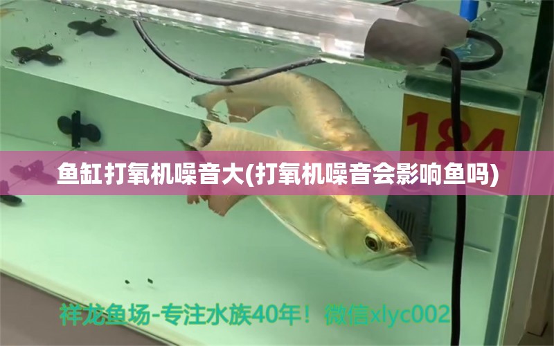 魚缸打氧機(jī)噪音大(打氧機(jī)噪音會(huì)影響魚嗎) iwish愛唯希品牌魚缸