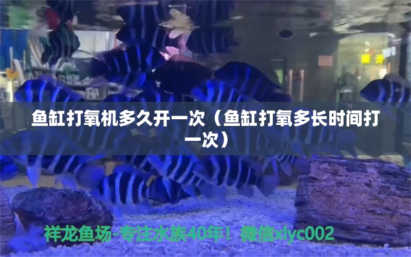 魚缸打氧機(jī)多久開一次（魚缸打氧多長時(shí)間打一次）