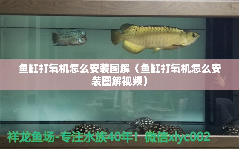 魚缸打氧機怎么安裝圖解（魚缸打氧機怎么安裝圖解視頻） 祥龍水族醫(yī)院