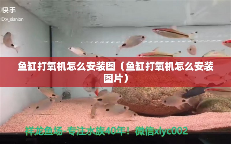 魚缸打氧機怎么安裝圖（魚缸打氧機怎么安裝圖片）