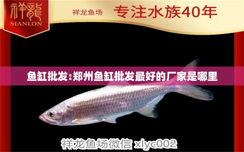 魚缸批發(fā):鄭州魚缸批發(fā)最好的廠家是哪里 觀賞魚批發(fā)