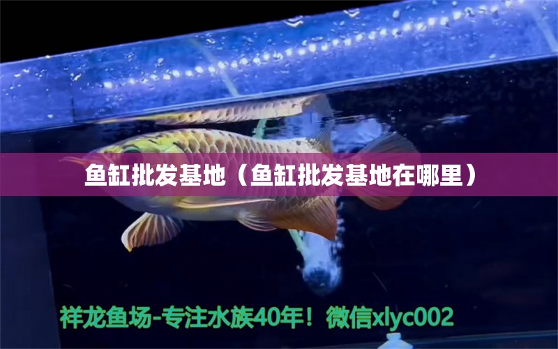 魚(yú)缸批發(fā)基地（魚(yú)缸批發(fā)基地在哪里）