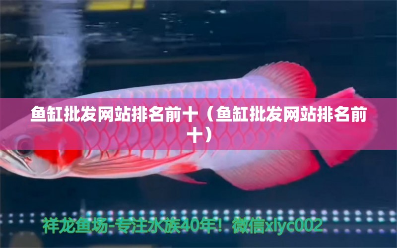 魚缸批發(fā)網(wǎng)站排名前十（魚缸批發(fā)網(wǎng)站排名前十） 泰龐海鰱魚