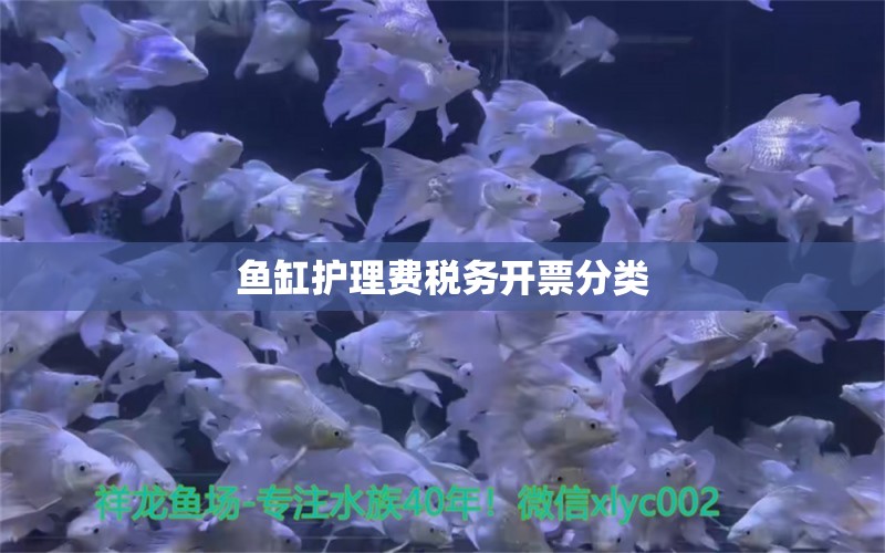 魚缸護理費稅務(wù)開票分類