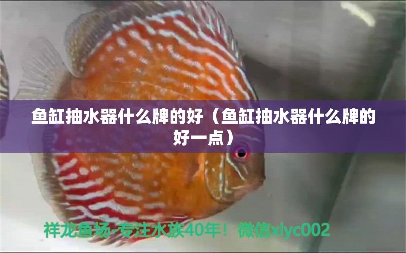 魚缸抽水器什么牌的好（魚缸抽水器什么牌的好一點）