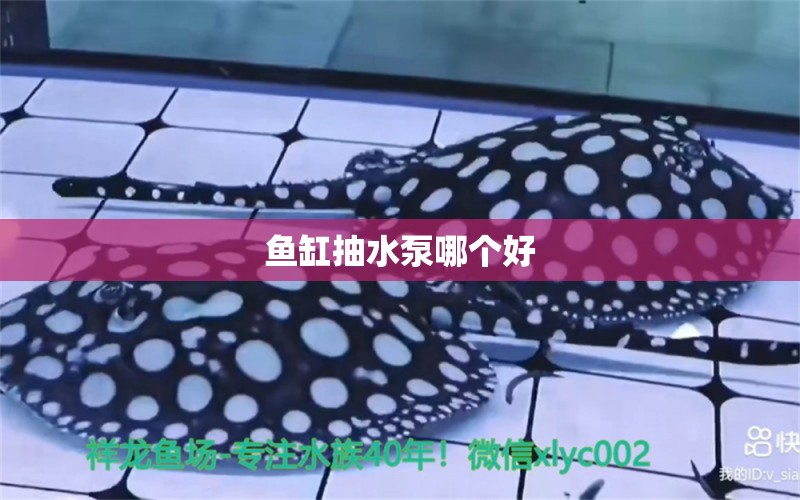 魚缸抽水泵哪個好 觀賞魚