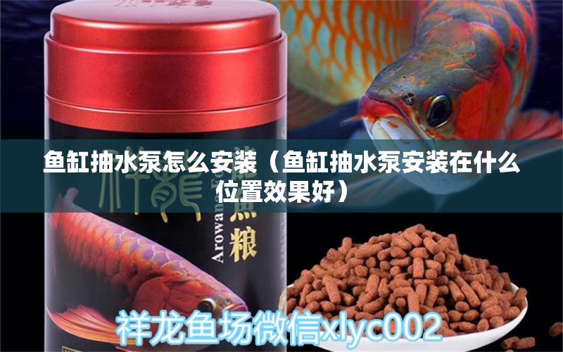 魚缸抽水泵怎么安裝（魚缸抽水泵安裝在什么位置效果好）