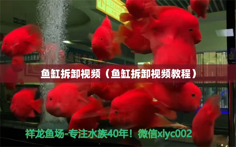 魚缸拆卸視頻（魚缸拆卸視頻教程） 祥龍水族醫(yī)院