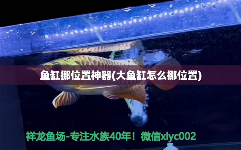 魚缸挪位置神器(大魚缸怎么挪位置) 豹紋夫魚苗