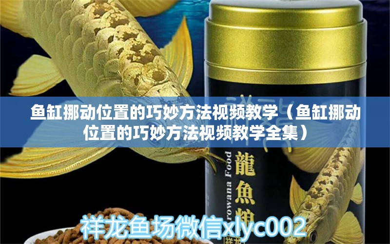 魚缸挪動位置的巧妙方法視頻教學(xué)（魚缸挪動位置的巧妙方法視頻教學(xué)全集） 其他品牌魚缸