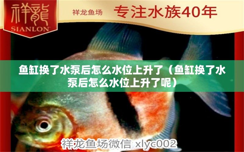 魚缸換了水泵后怎么水位上升了（魚缸換了水泵后怎么水位上升了呢） 其他品牌魚缸