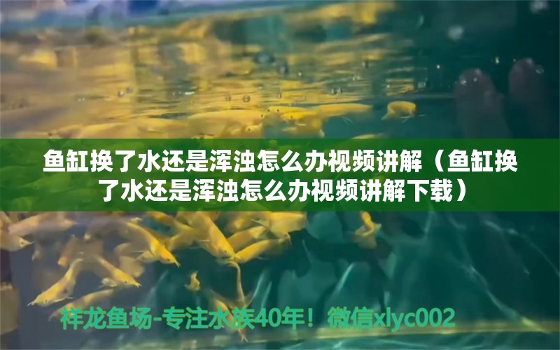 魚缸換了水還是渾濁怎么辦視頻講解（魚缸換了水還是渾濁怎么辦視頻講解下載） 海水魚