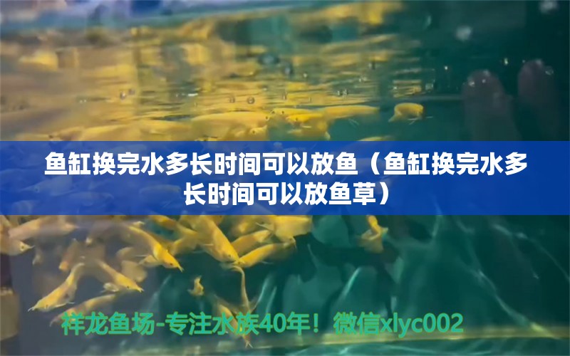 魚缸換完水多長時間可以放魚（魚缸換完水多長時間可以放魚草）