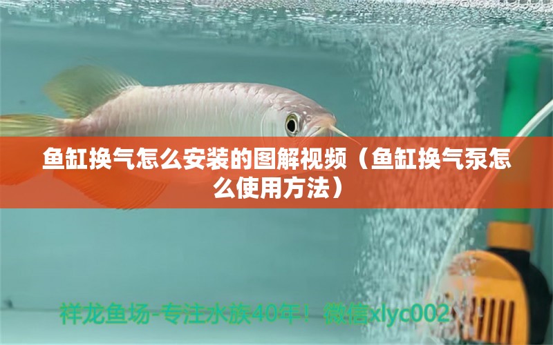 魚缸換氣怎么安裝的圖解視頻（魚缸換氣泵怎么使用方法）