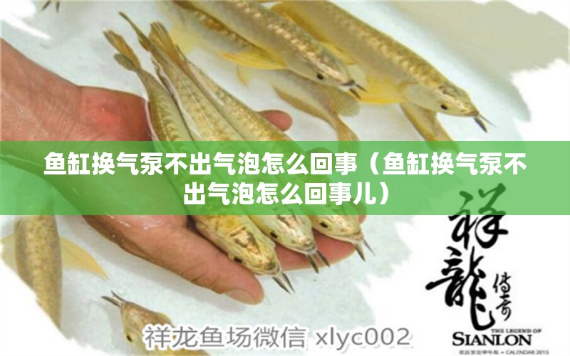 魚缸換氣泵不出氣泡怎么回事（魚缸換氣泵不出氣泡怎么回事兒）