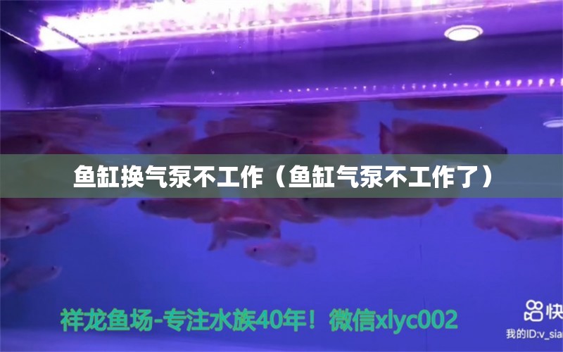 魚缸換氣泵不工作（魚缸氣泵不工作了）