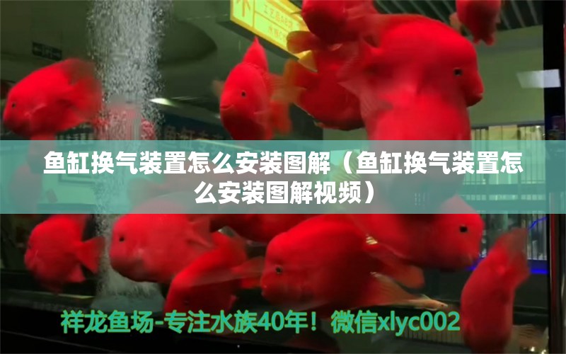 魚缸換氣裝置怎么安裝圖解（魚缸換氣裝置怎么安裝圖解視頻）