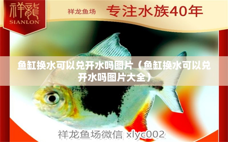 魚缸換水可以兌開水嗎圖片（魚缸換水可以兌開水嗎圖片大全） 觀賞魚市場（混養(yǎng)魚）