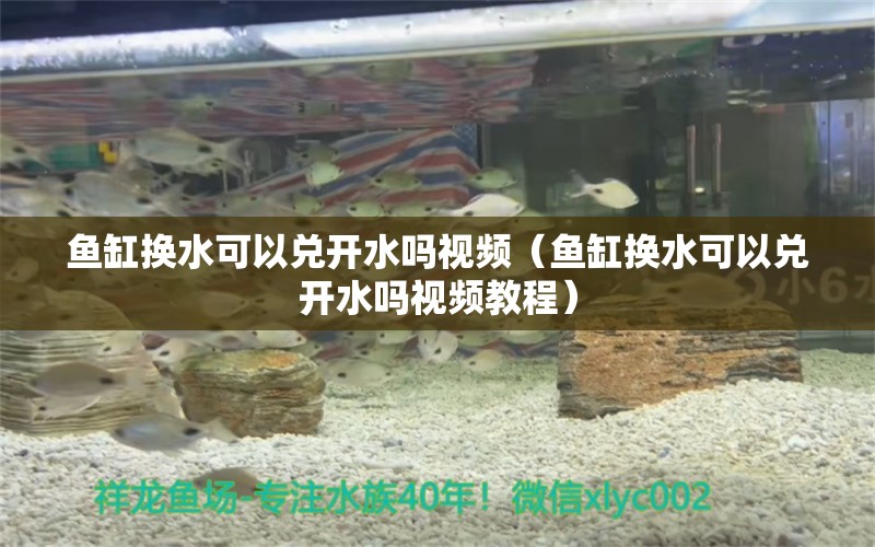 魚缸換水可以兌開水嗎視頻（魚缸換水可以兌開水嗎視頻教程） iwish愛唯希品牌魚缸