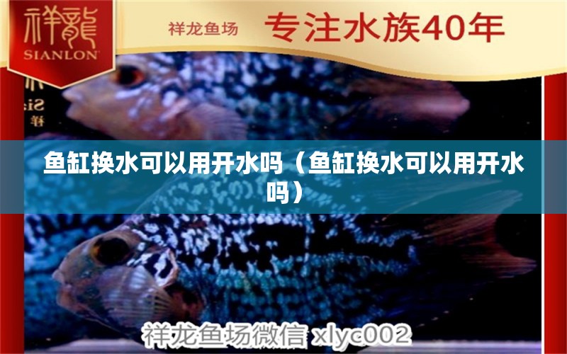 魚缸換水可以用開水嗎（魚缸換水可以用開水嗎） 黃金招財貓魚