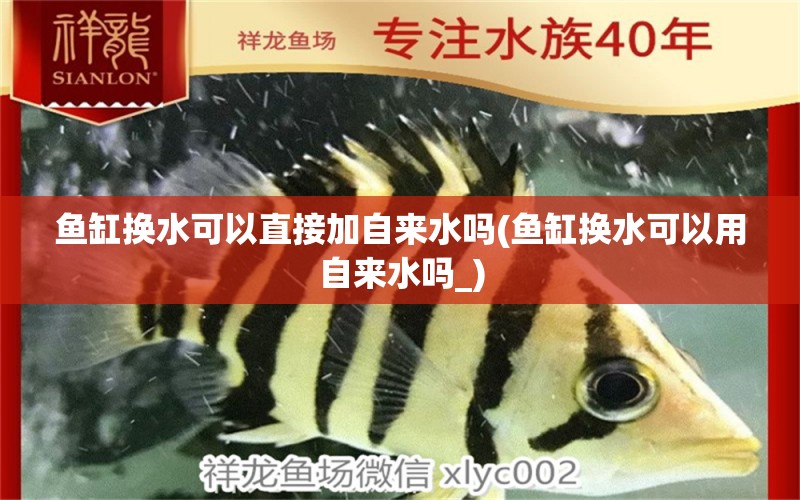 魚缸換水可以直接加自來水嗎(魚缸換水可以用自來水嗎_) 紅老虎魚