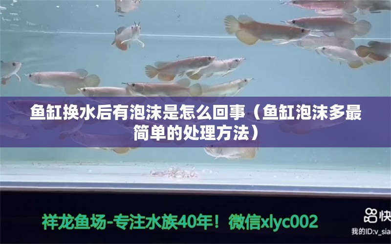 魚缸換水后有泡沫是怎么回事（魚缸泡沫多最簡單的處理方法） 祥龍水族醫(yī)院