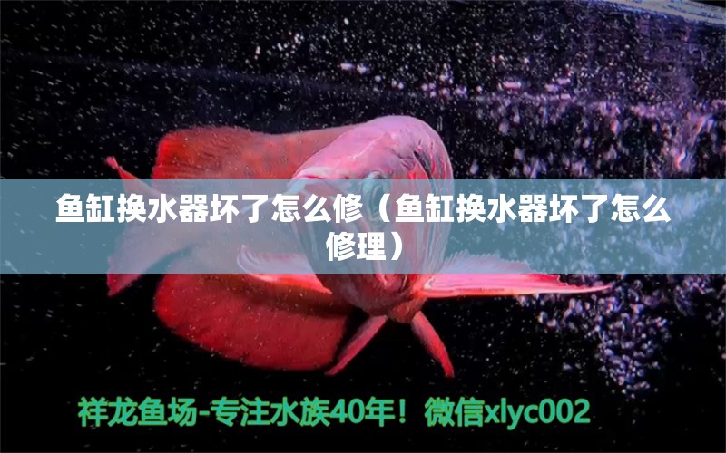 魚缸換水器壞了怎么修（魚缸換水器壞了怎么修理）