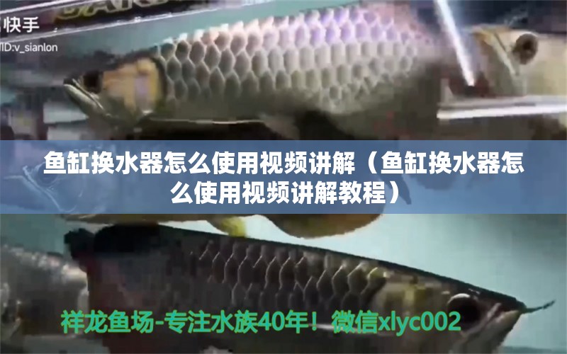 魚缸換水器怎么使用視頻講解（魚缸換水器怎么使用視頻講解教程） 觀賞魚市場（混養(yǎng)魚）