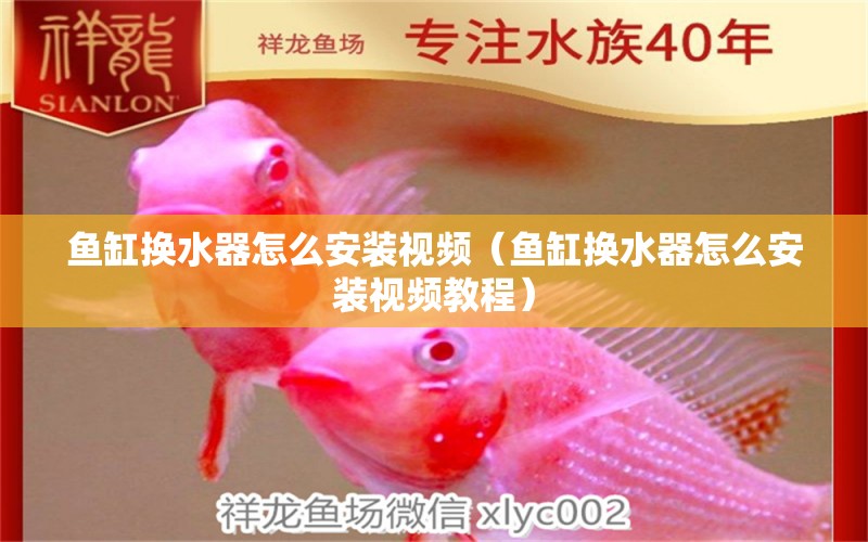 魚缸換水器怎么安裝視頻（魚缸換水器怎么安裝視頻教程）