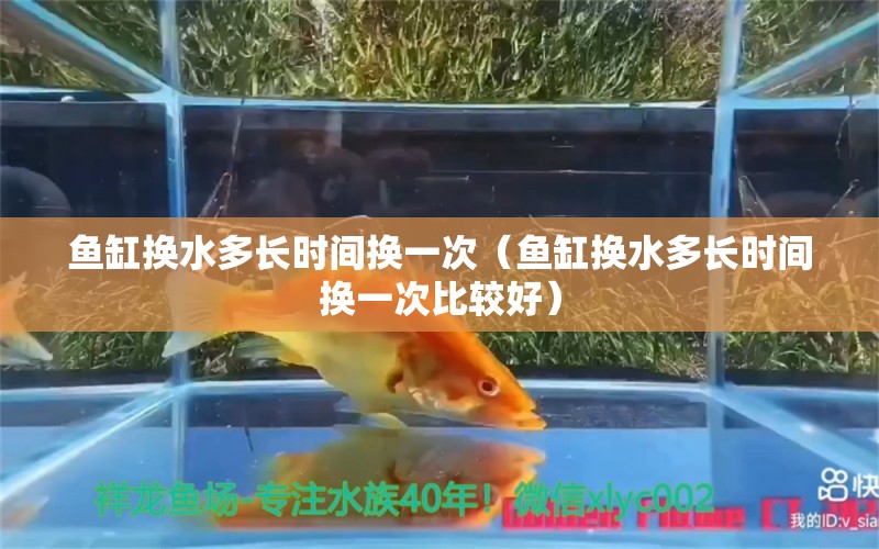 魚缸換水多長時(shí)間換一次（魚缸換水多長時(shí)間換一次比較好） 祥龍水族醫(yī)院