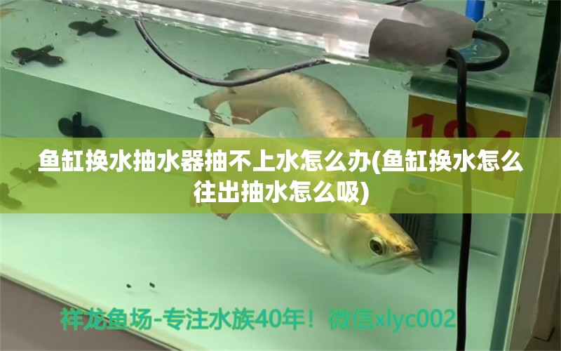 魚缸換水抽水器抽不上水怎么辦(魚缸換水怎么往出抽水怎么吸) 檸檬鯽