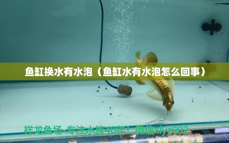 魚缸換水有水泡（魚缸水有水泡怎么回事） 其他品牌魚缸