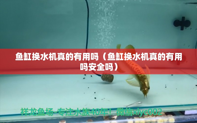 魚缸換水機真的有用嗎（魚缸換水機真的有用嗎安全嗎） 觀賞魚市場（混養(yǎng)魚）