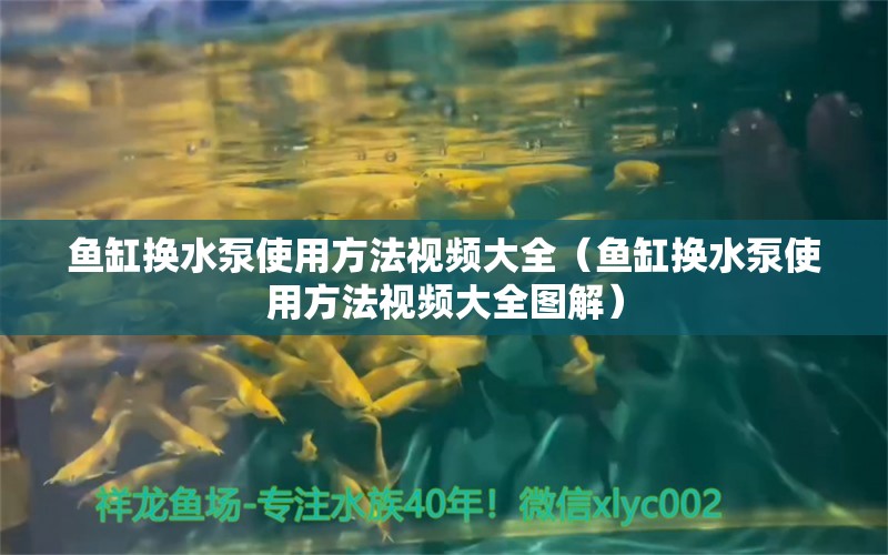 魚缸換水泵使用方法視頻大全（魚缸換水泵使用方法視頻大全圖解） 觀賞魚市場（混養(yǎng)魚）