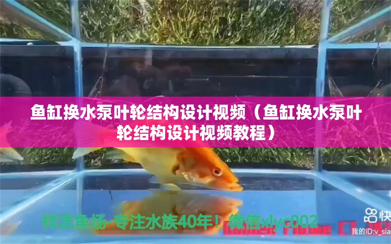 魚缸換水泵葉輪結(jié)構(gòu)設(shè)計視頻（魚缸換水泵葉輪結(jié)構(gòu)設(shè)計視頻教程）