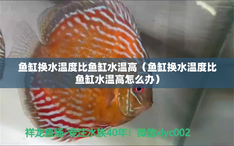 魚(yú)缸換水溫度比魚(yú)缸水溫高（魚(yú)缸換水溫度比魚(yú)缸水溫高怎么辦） 祥龍水族醫(yī)院