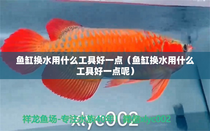 魚缸換水用什么工具好一點（魚缸換水用什么工具好一點呢）