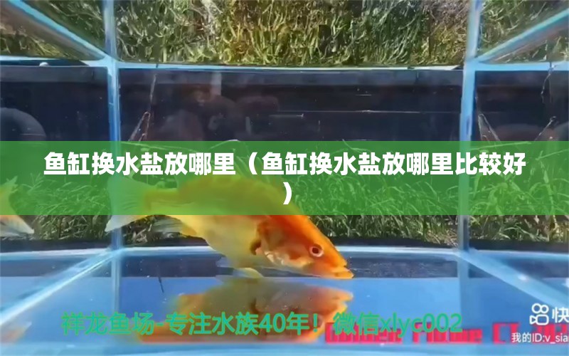 魚缸換水鹽放哪里（魚缸換水鹽放哪里比較好）