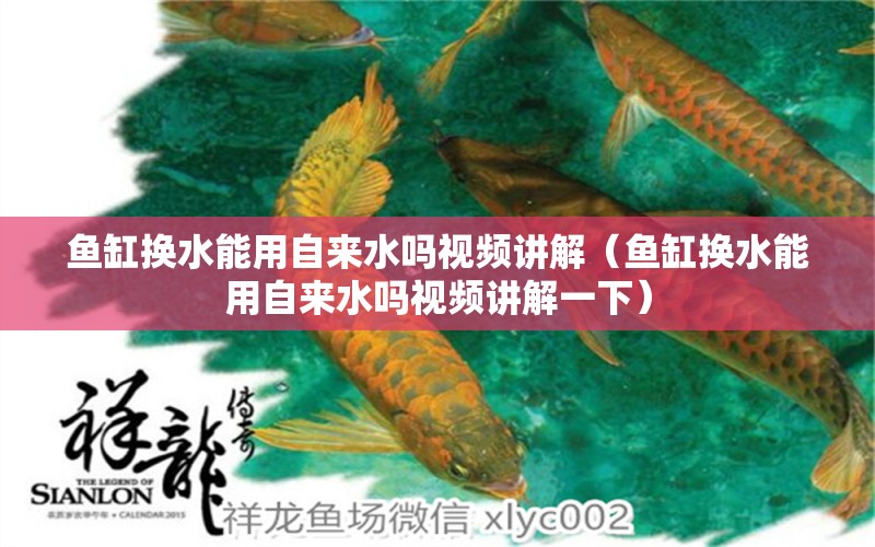 魚缸換水能用自來水嗎視頻講解（魚缸換水能用自來水嗎視頻講解一下） 祥龍水族醫(yī)院