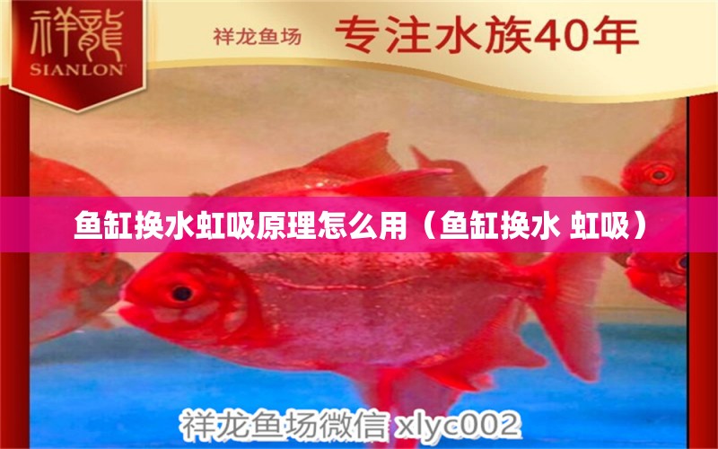 魚缸換水虹吸原理怎么用（魚缸換水 虹吸）