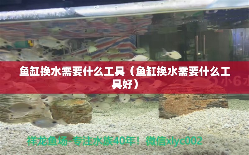 魚(yú)缸換水需要什么工具（魚(yú)缸換水需要什么工具好）