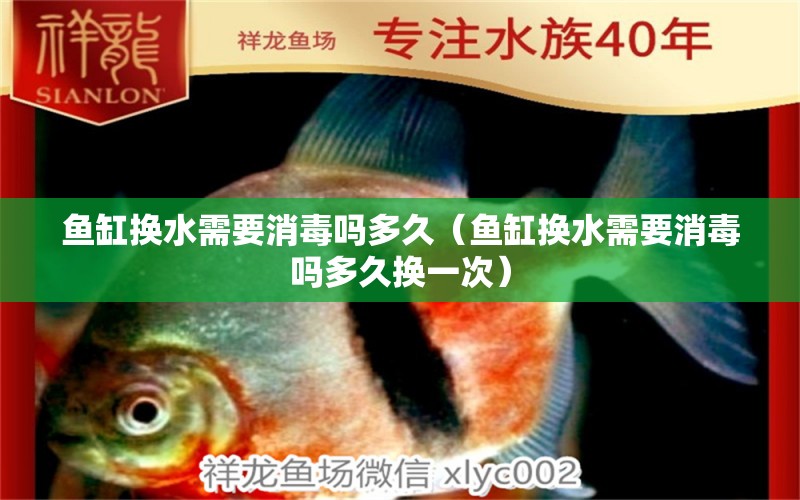 魚缸換水需要消毒嗎多久（魚缸換水需要消毒嗎多久換一次） 杰西卡恐龍魚