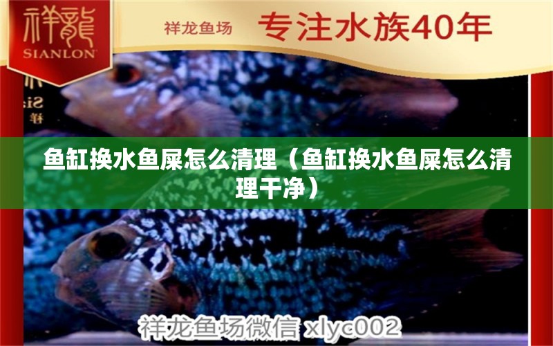 魚(yú)缸換水魚(yú)屎怎么清理（魚(yú)缸換水魚(yú)屎怎么清理干凈）