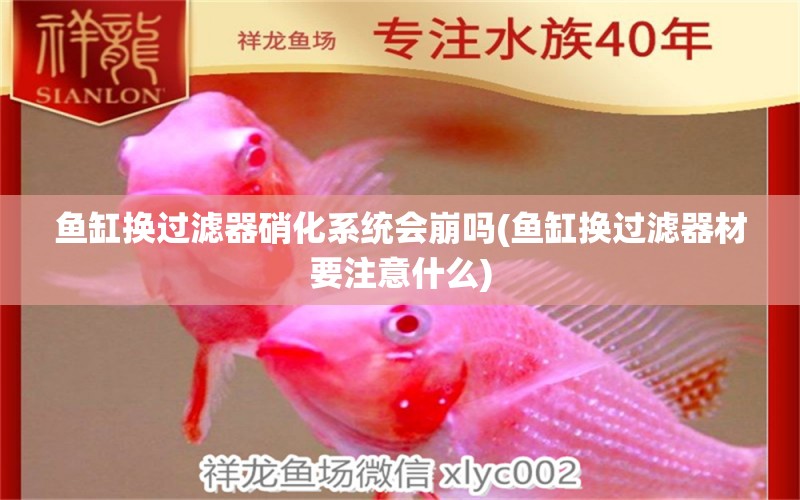 魚(yú)缸換過(guò)濾器硝化系統(tǒng)會(huì)崩嗎(魚(yú)缸換過(guò)濾器材要注意什么) 薩伊藍(lán)魚(yú) 第1張