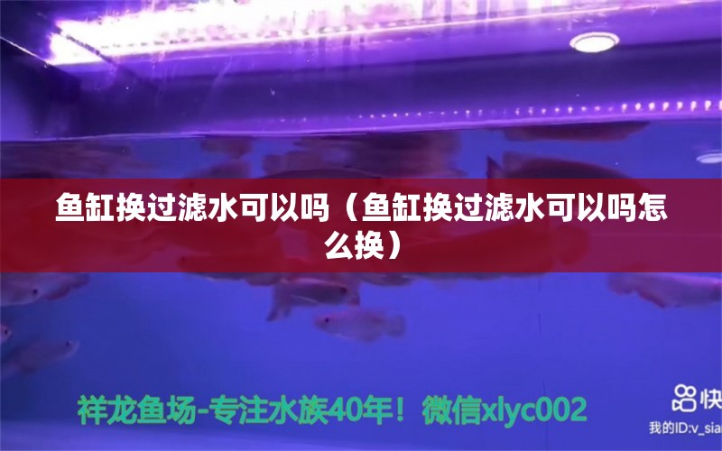 魚缸換過濾水可以嗎（魚缸換過濾水可以嗎怎么換） 其他品牌魚缸