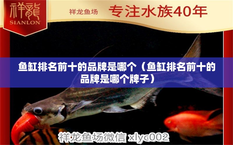 魚缸排名前十的品牌是哪個(gè)（魚缸排名前十的品牌是哪個(gè)牌子）