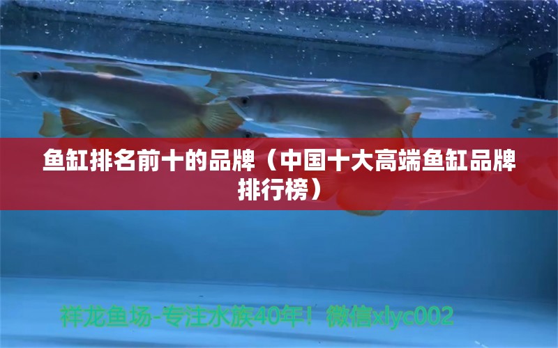 魚缸排名前十的品牌（中國(guó)十大高端魚缸品牌排行榜）