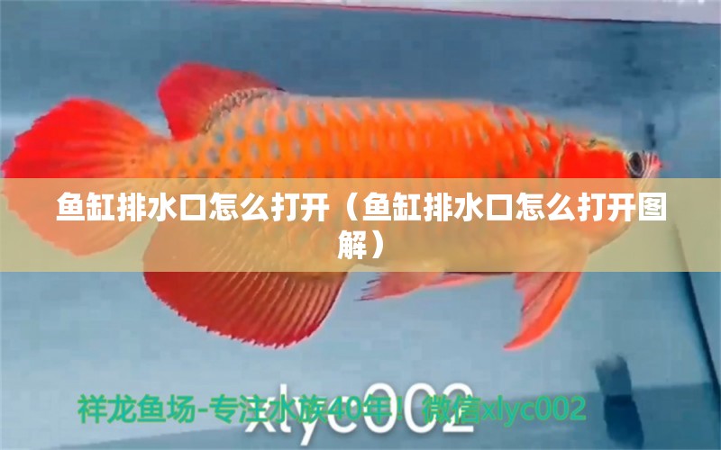 魚(yú)缸排水口怎么打開(kāi)（魚(yú)缸排水口怎么打開(kāi)圖解） 玫瑰銀版魚(yú)